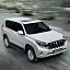 ���������� ������ ������ ������� ����������� Toyota Land Cruiser Prado